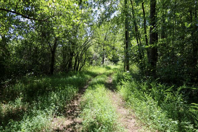 0 Hwy 69S, Paris, TN 38242