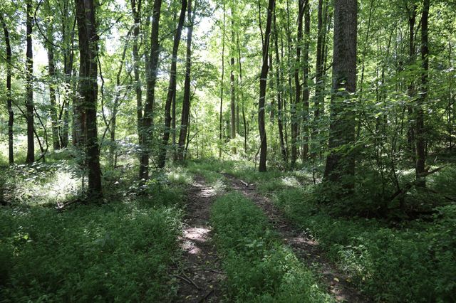 0 Hwy 69S, Paris, TN 38242
