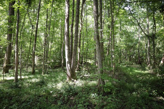 0 Hwy 69S, Paris, TN 38242