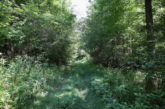 0 Hwy 69S, Paris, TN 38242
