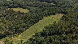 0 Hwy 69S, Paris, TN 38242