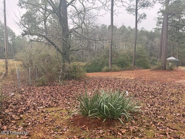 10452 Highway 11, Poplarville, MS 39470