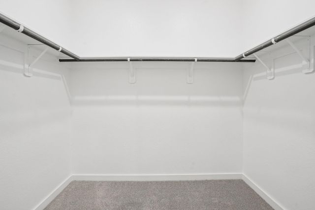 1115 Cedar Place Lane, Missouri City, TX 77459