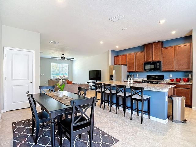 14729 PROMENADE PARKWAY, Odessa, FL 33556