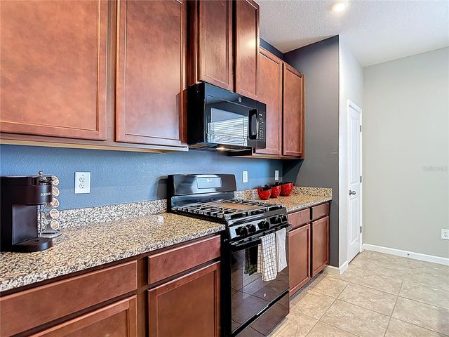 14729 PROMENADE PARKWAY, Odessa, FL 33556