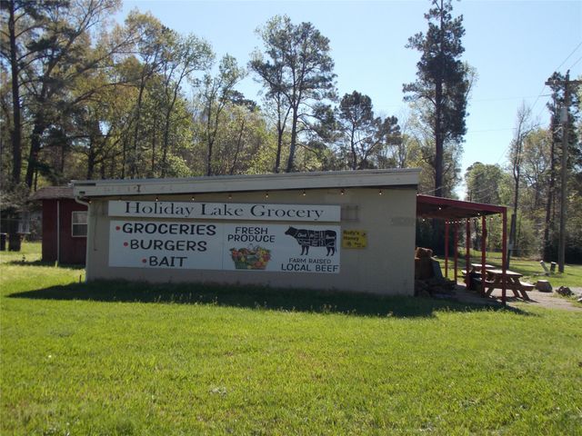 400 Driftwood Drive, Goodrich, TX 77335