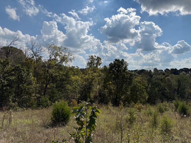 000 County Rd 6160 And 6210, Edgar Springs, MO 65462