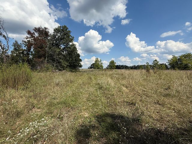 000 County Rd 6160 And 6210, Edgar Springs, MO 65462