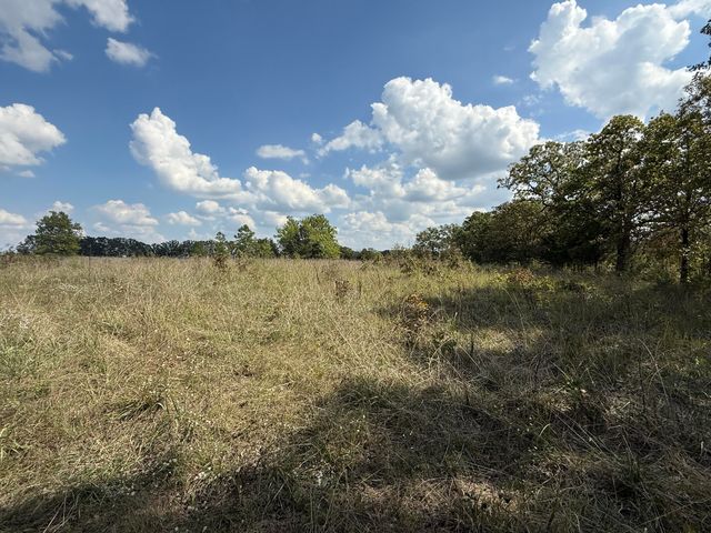 000 County Rd 6160 And 6210, Edgar Springs, MO 65462