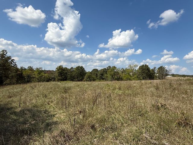 000 County Rd 6160 And 6210, Edgar Springs, MO 65462