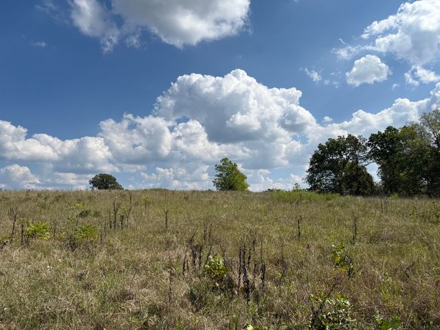 000 County Rd 6160 And 6210, Edgar Springs, MO 65462