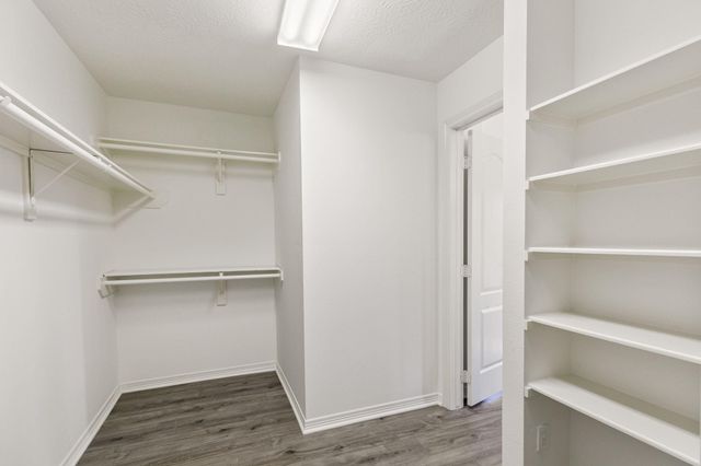 7019 Revelwood Drive, Magnolia, TX 77354