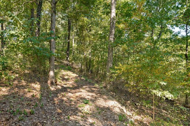 1627 W Riverbluff Lane, Nixa, MO 65714
