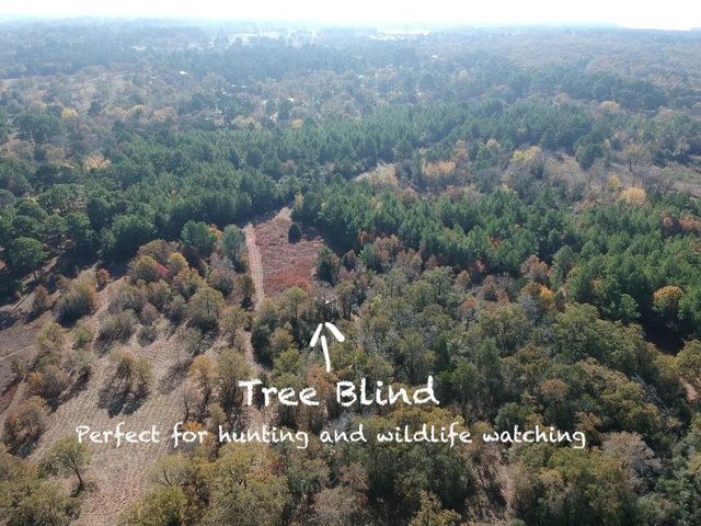319 Matthew CV, Bastrop, TX 78602