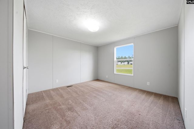 233 Peeler Road, Gaston, SC 29053