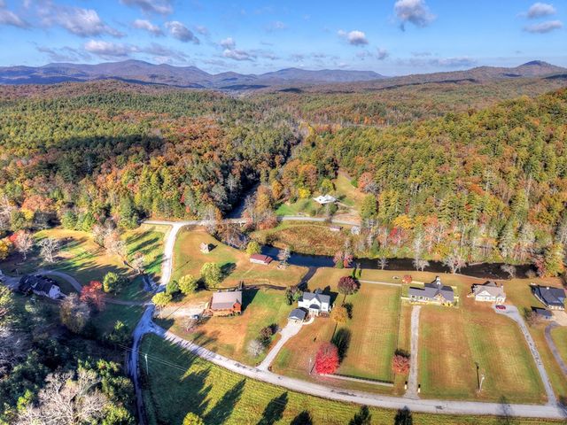 47 Downy Road, Blue Ridge, GA 30513