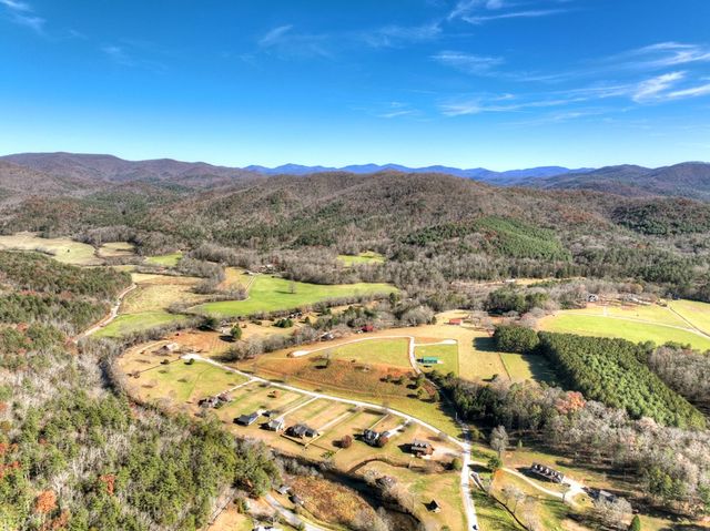 47 Downy Road, Blue Ridge, GA 30513