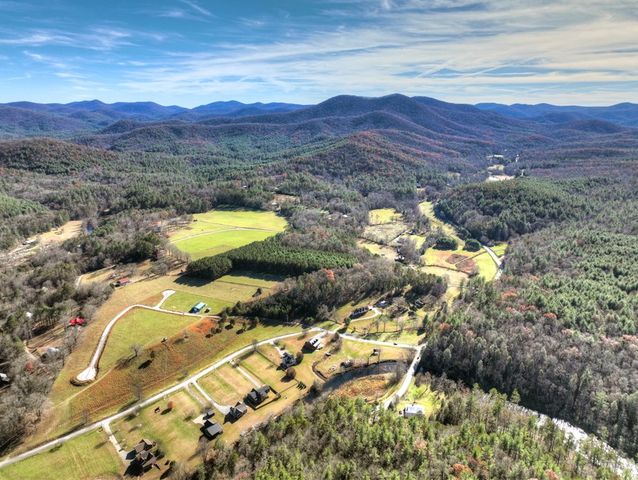 47 Downy Road, Blue Ridge, GA 30513