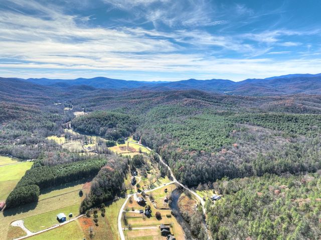 47 Downy Road, Blue Ridge, GA 30513