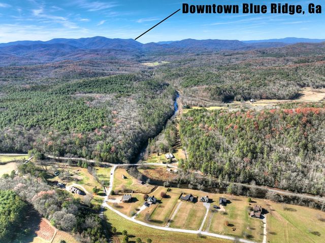47 Downy Road, Blue Ridge, GA 30513