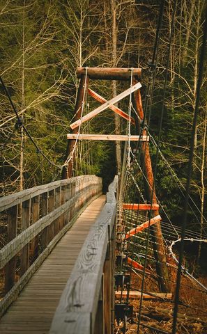 47 Downy Road, Blue Ridge, GA 30513