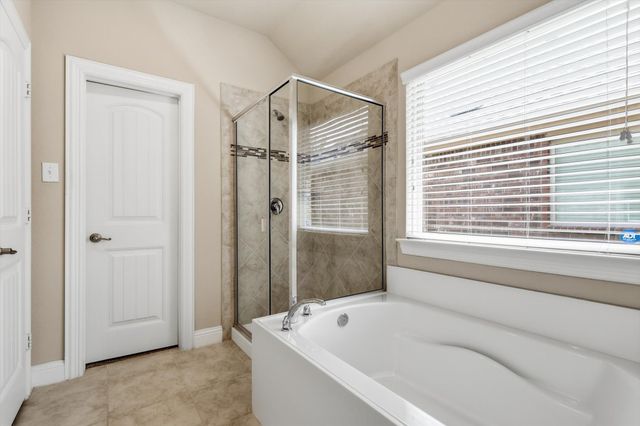 16204 Sparkhill Street, Frisco, TX 75036