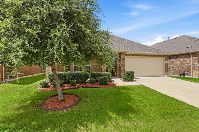 16204 Sparkhill Street, Frisco, TX 75036