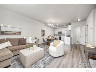 1686 Grand Avenue 2, Windsor, CO 80550