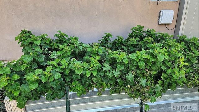 5050 E Tildy Lane, Ammon, ID 83401