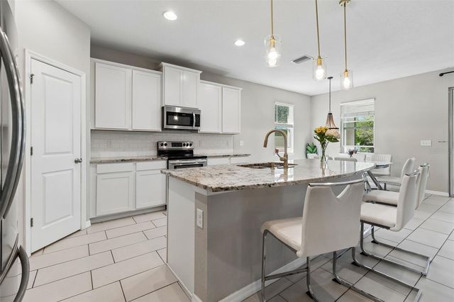 2959 STORYBROOK PRESERVE DRIVE, Odessa, FL 33556