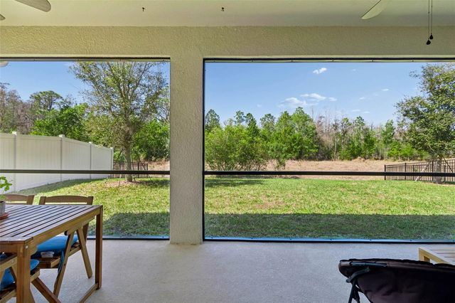 2959 STORYBROOK PRESERVE DRIVE, Odessa, FL 33556