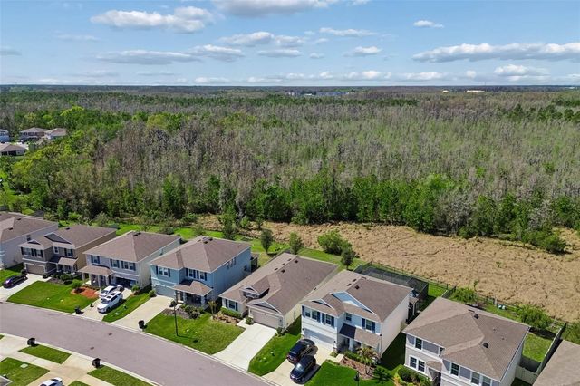 2959 STORYBROOK PRESERVE DRIVE, Odessa, FL 33556