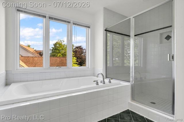 13838 Fawn Woods Court, Plymouth Charter Township, MI 48170