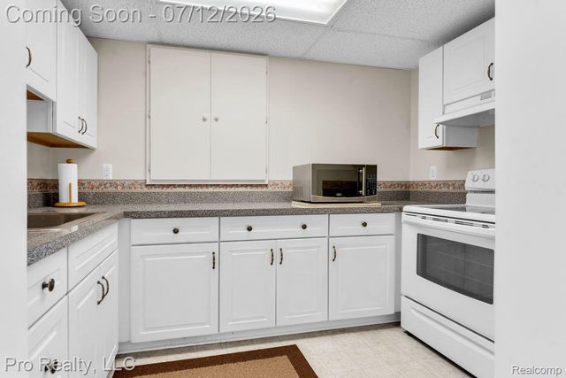 13838 Fawn Woods Court, Plymouth Charter Township, MI 48170