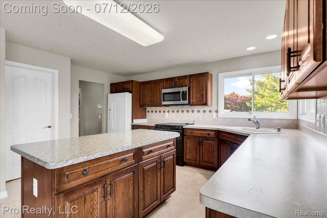 13838 Fawn Woods Court, Plymouth Charter Township, MI 48170