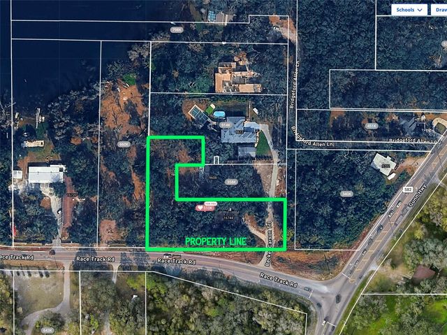 16744 RACE TRACK ROAD, Odessa, FL 33556