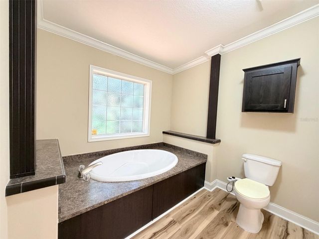 16744 RACE TRACK ROAD, Odessa, FL 33556