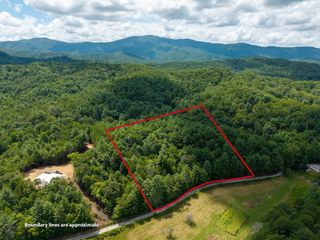 0 White Pine Road, Mccaysville, GA 30555