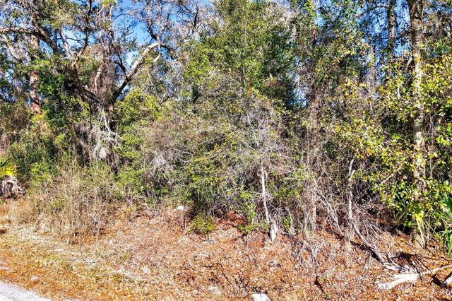 10051 N MARIGOLD TERRACE, Crystal River, FL 34428