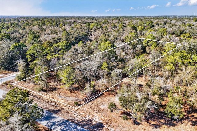 10051 N MARIGOLD TERRACE, Crystal River, FL 34428