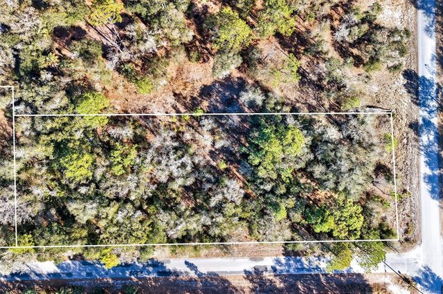 10051 N MARIGOLD TERRACE, Crystal River, FL 34428