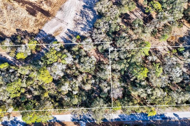 10051 N MARIGOLD TERRACE, Crystal River, FL 34428