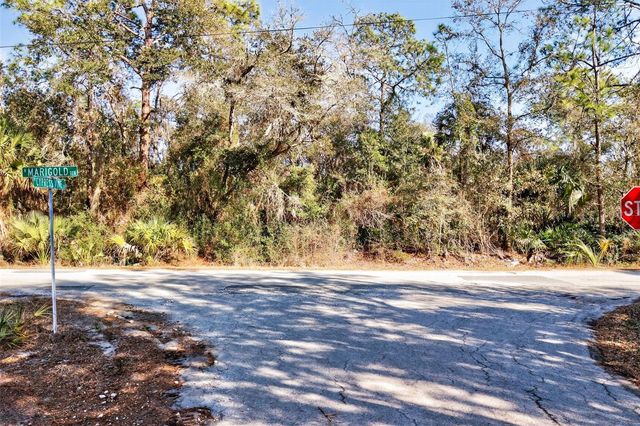 10051 N MARIGOLD TERRACE, Crystal River, FL 34428