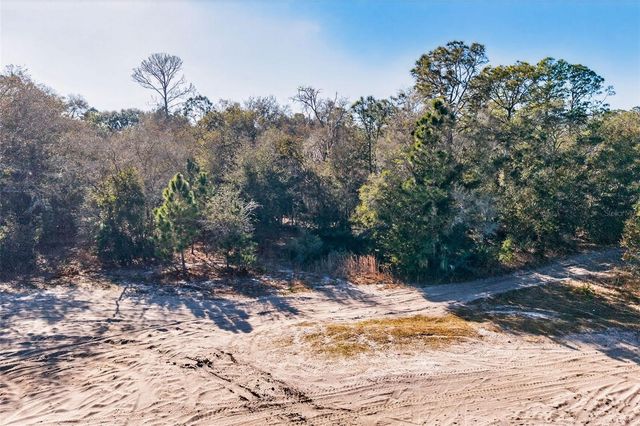 10051 N MARIGOLD TERRACE, Crystal River, FL 34428