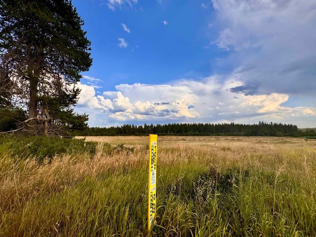 6311 W Herman Rd, Deer Park, WA 99006