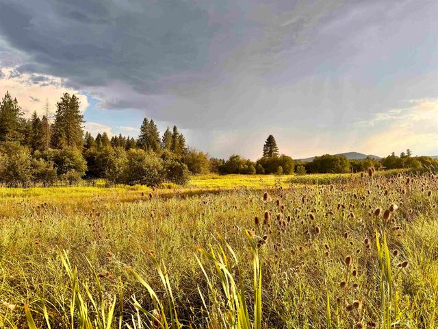 6311 W Herman Rd, Deer Park, WA 99006