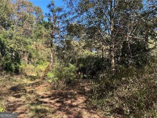 2581 Old Riggs Mill Road, Statesboro, GA 30458