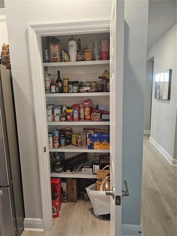 3618 PERSIMMON PARK DRIVE, Wesley Chapel, FL 33543