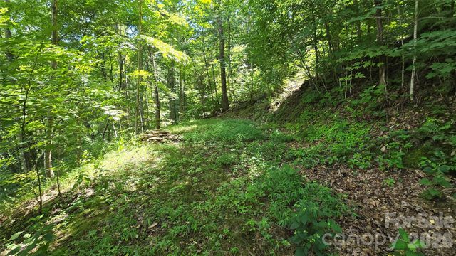 310 High Cliff Drive, Waynesville, NC 28786