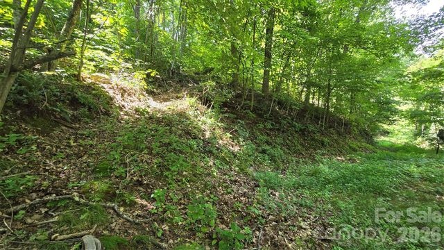310 High Cliff Drive, Waynesville, NC 28786